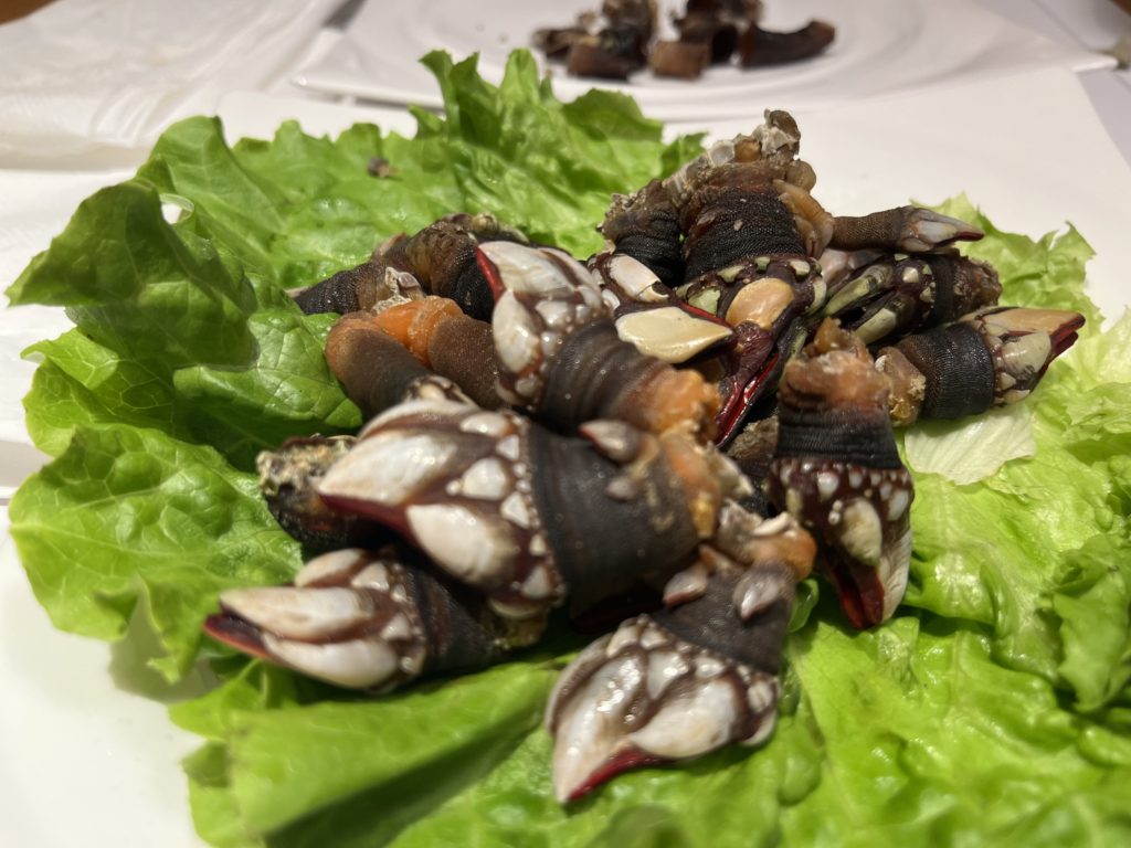 Entenmuscheln
